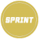 SPRINT™